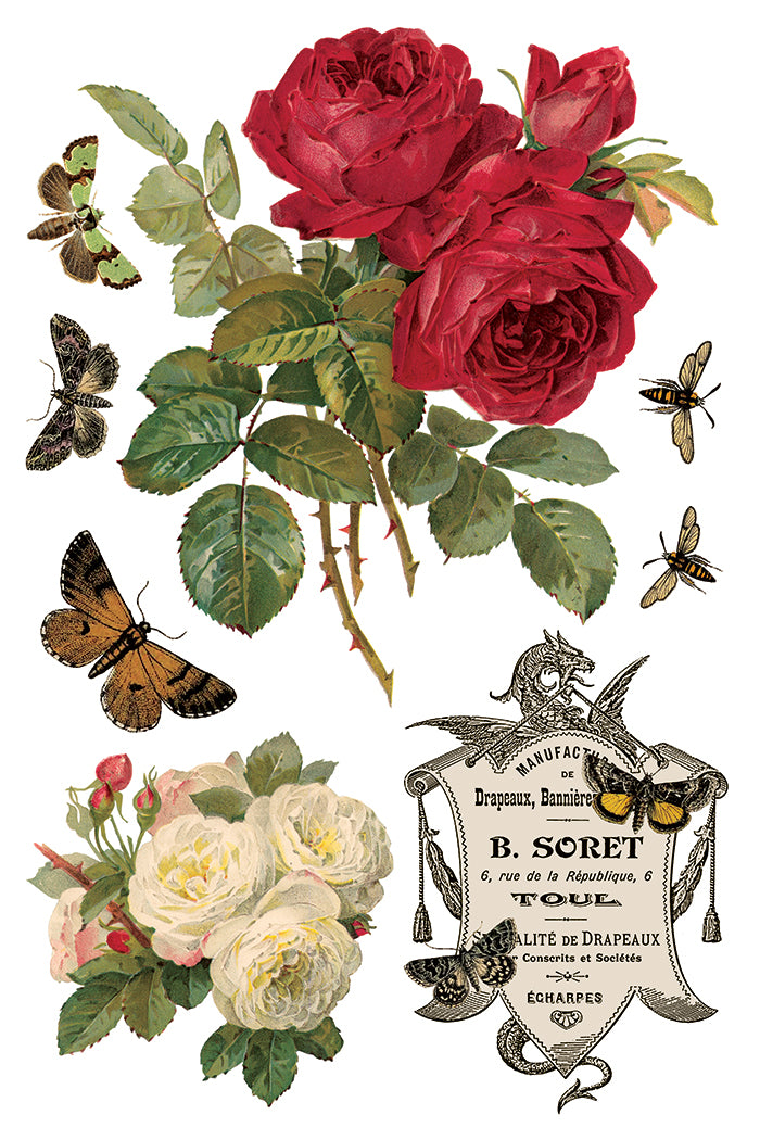 By Any Other Name 8x12 IOD Transfer