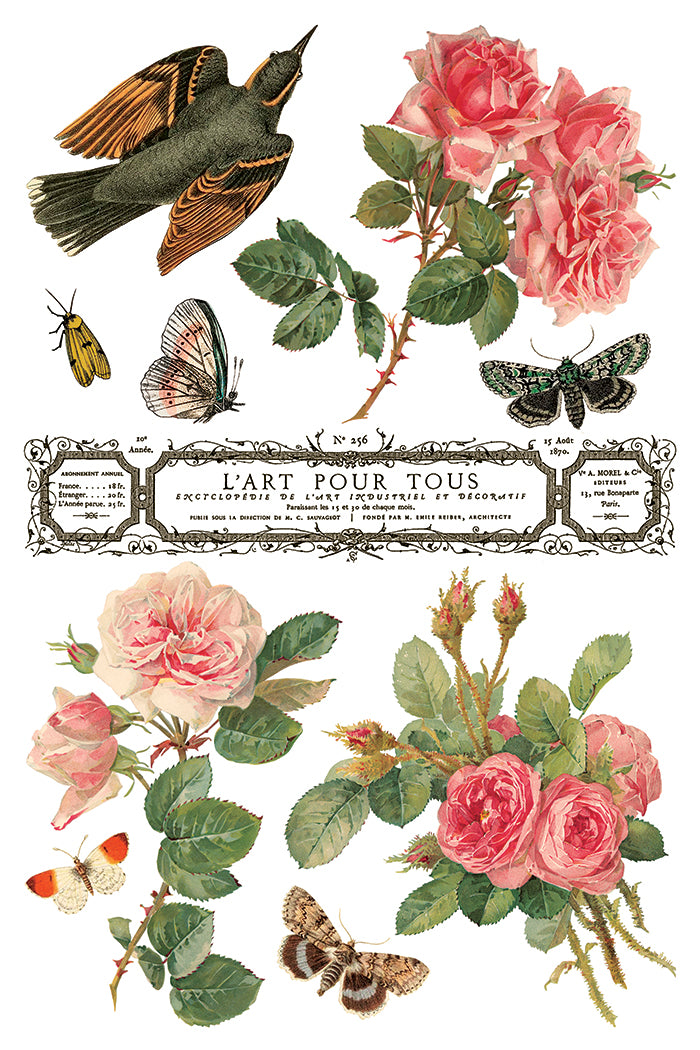 By Any Other Name 8x12 IOD Transfer