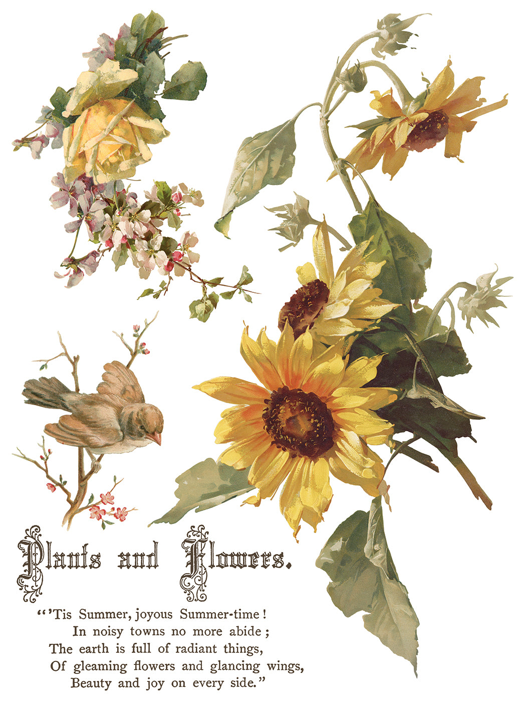 Flowers by the Poets | IOD Transfer | 8 Pages | 12"x16"