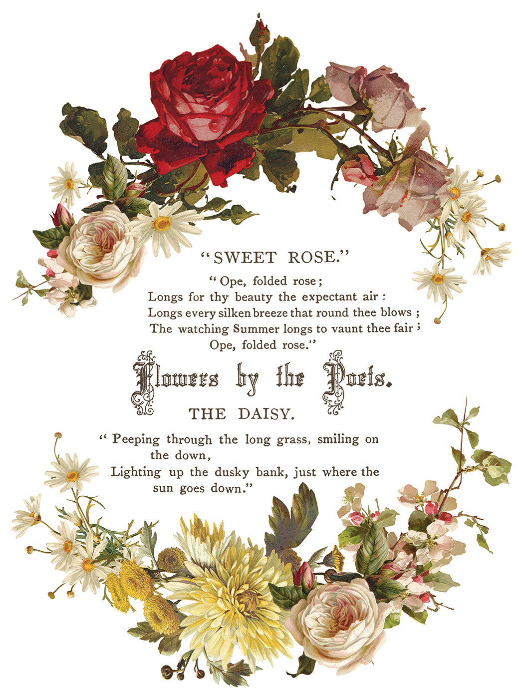 Flowers by the Poets | IOD Transfer | 8 Pages | 12"x16"