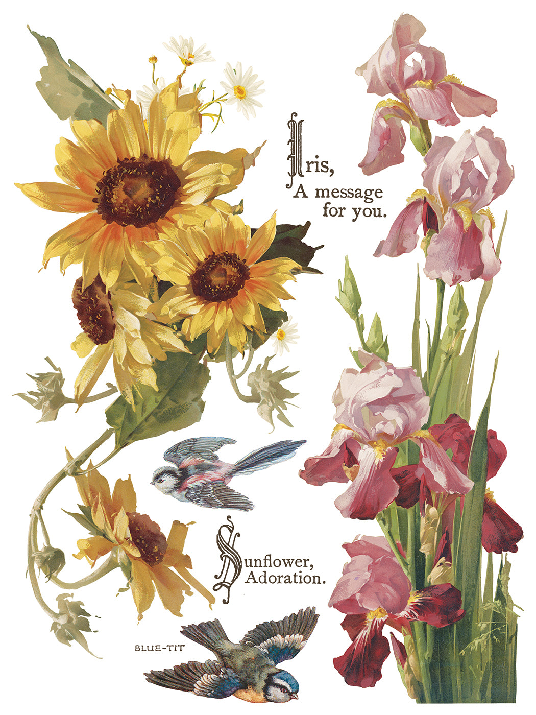 Flowers by the Poets | IOD Transfer | 8 Pages | 12"x16"