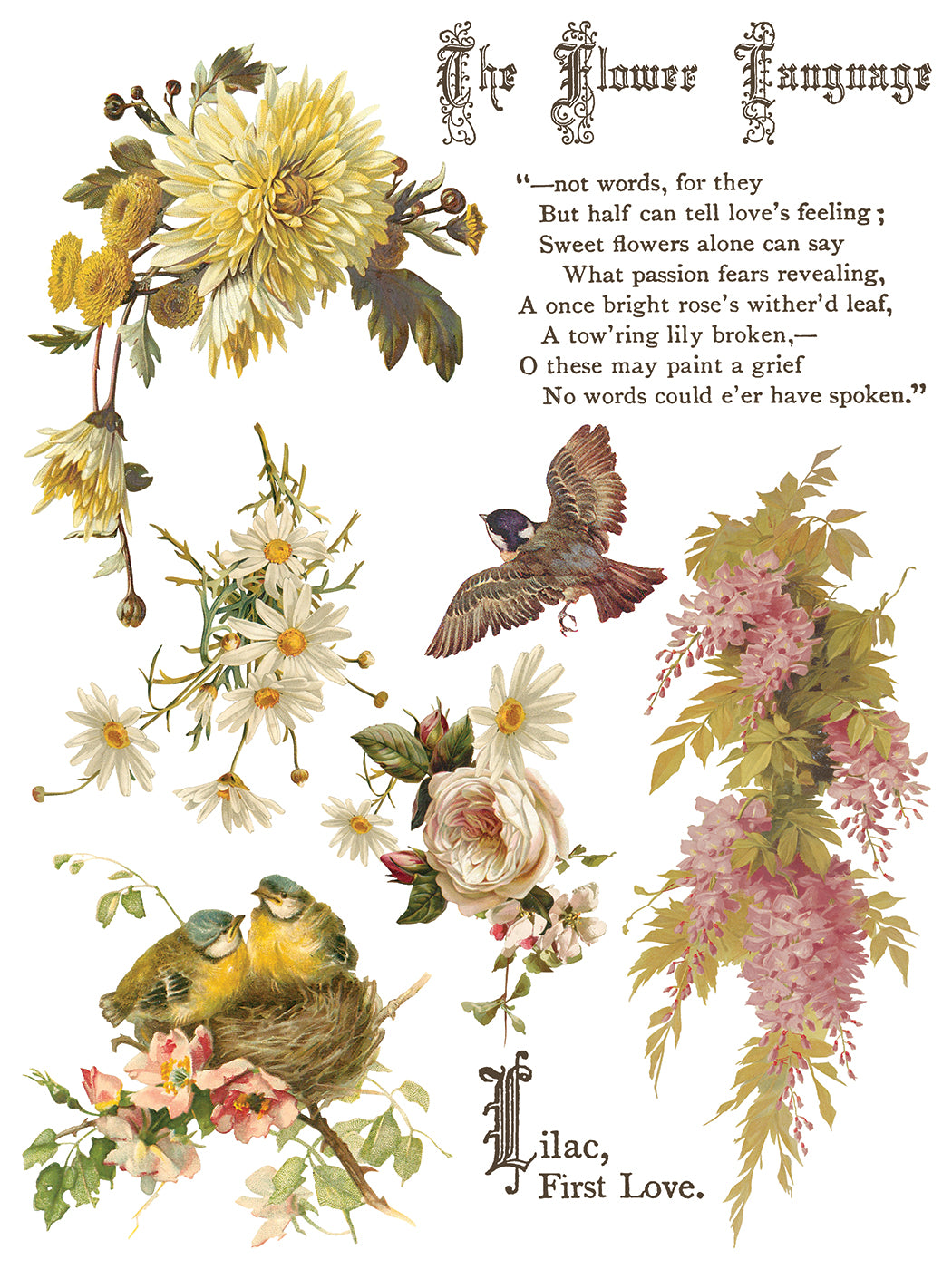 Flowers by the Poets | IOD Transfer | 8 Pages | 12"x16"
