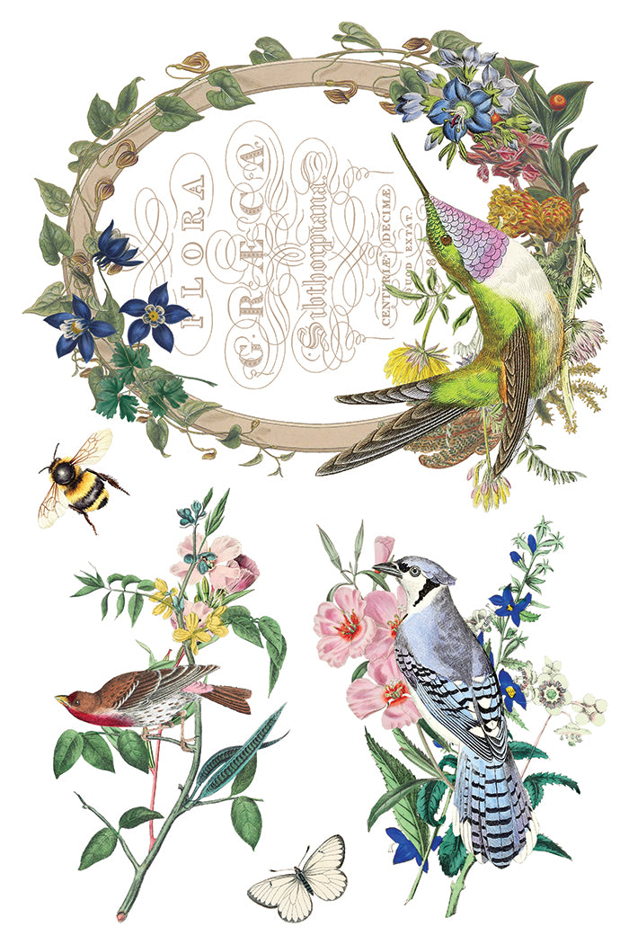 Flora Greca 8x12 IOD Transfer