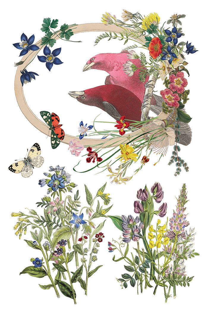 Flora Greca 8x12 IOD Transfer