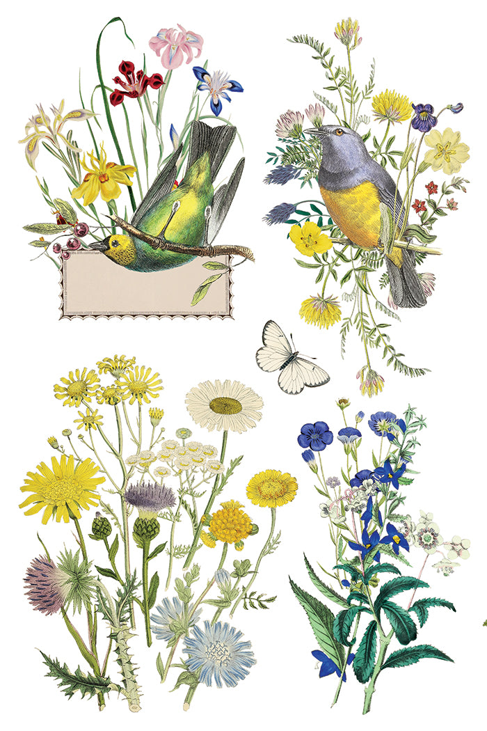 Flora Greca 8x12 IOD Transfer