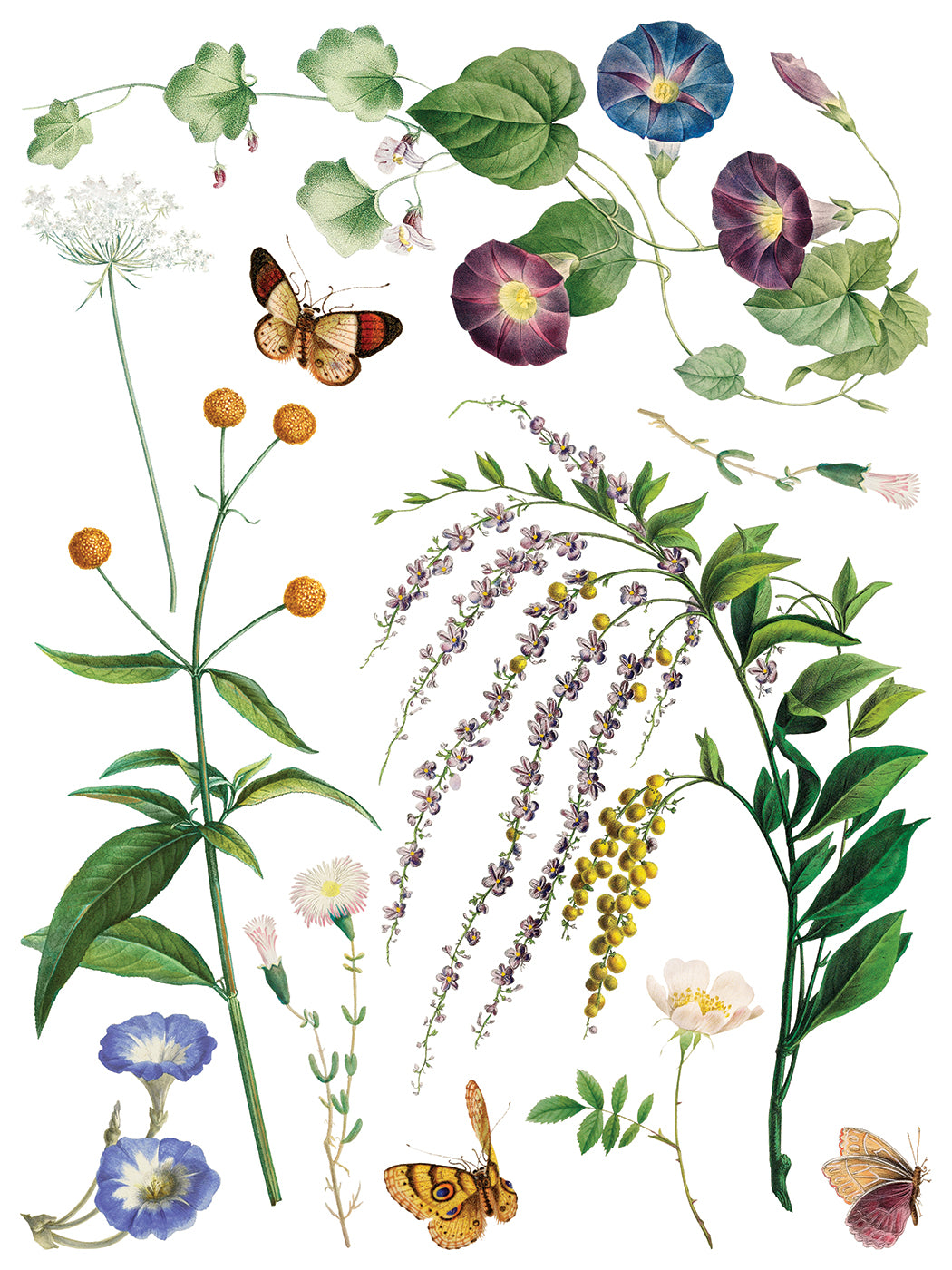 Marché des Fleurs | IOD Transfer | 8 Pages | 12"x16"