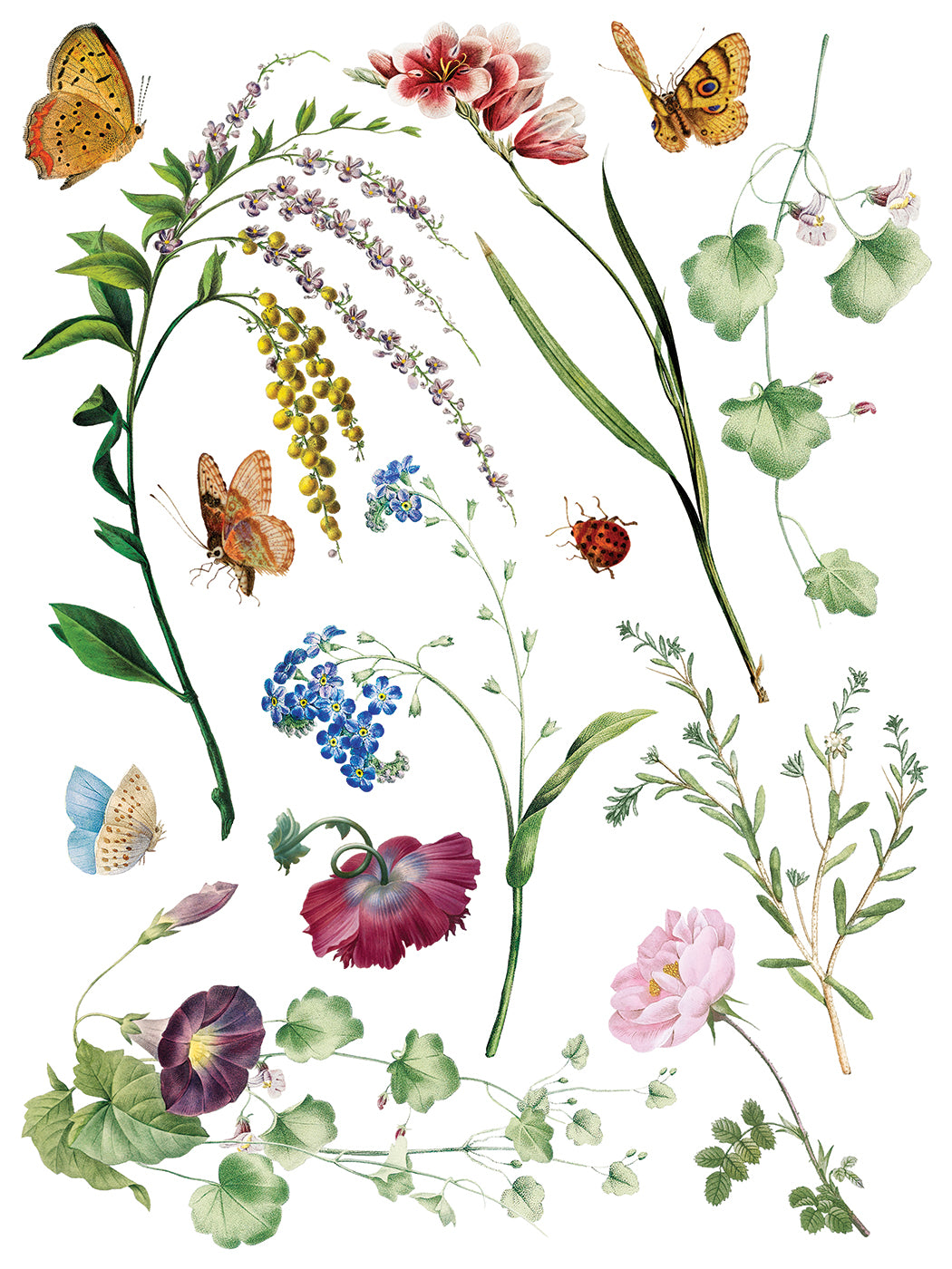 Marché des Fleurs | IOD Transfer | 8 Pages | 12"x16"