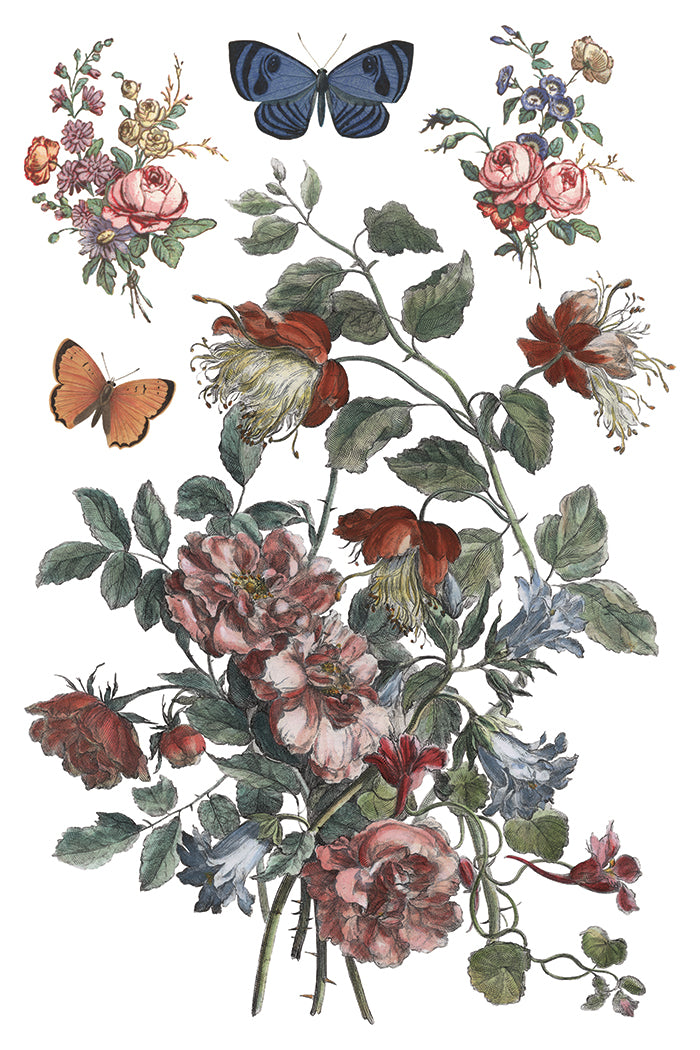 Saint Ouen 8x12 IOD Transfer