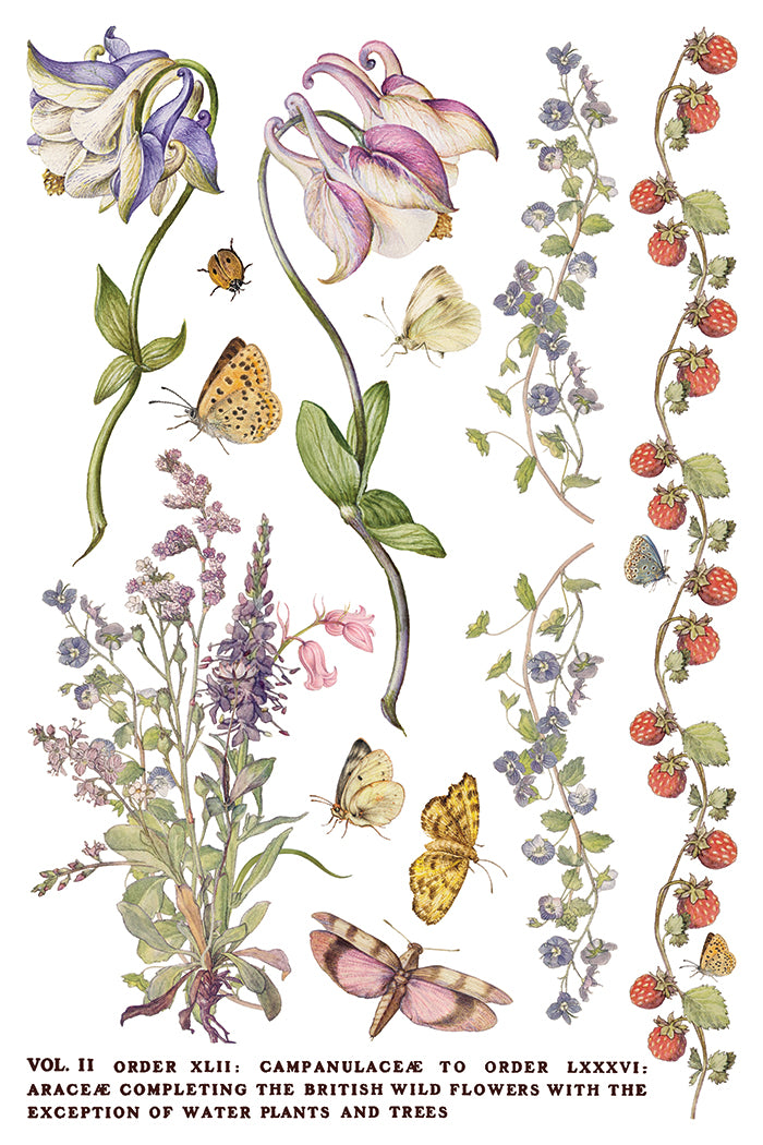 Primrose Isle | IOD Transfer | 8 Pages | 8"x12"