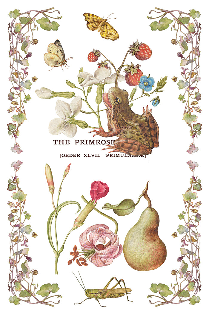 Primrose Isle | IOD Transfer | 8 Pages | 8"x12"