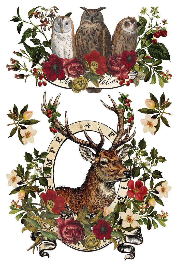 Stag Tavern 8x12 IOD Transfer