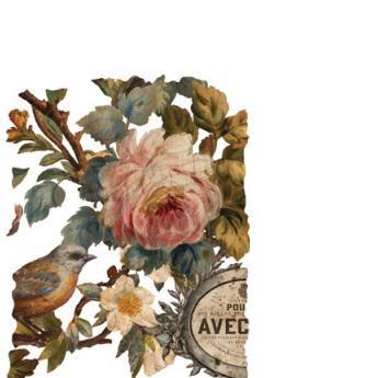 Joie des Roses IOD Transfer 12x16 Pad™