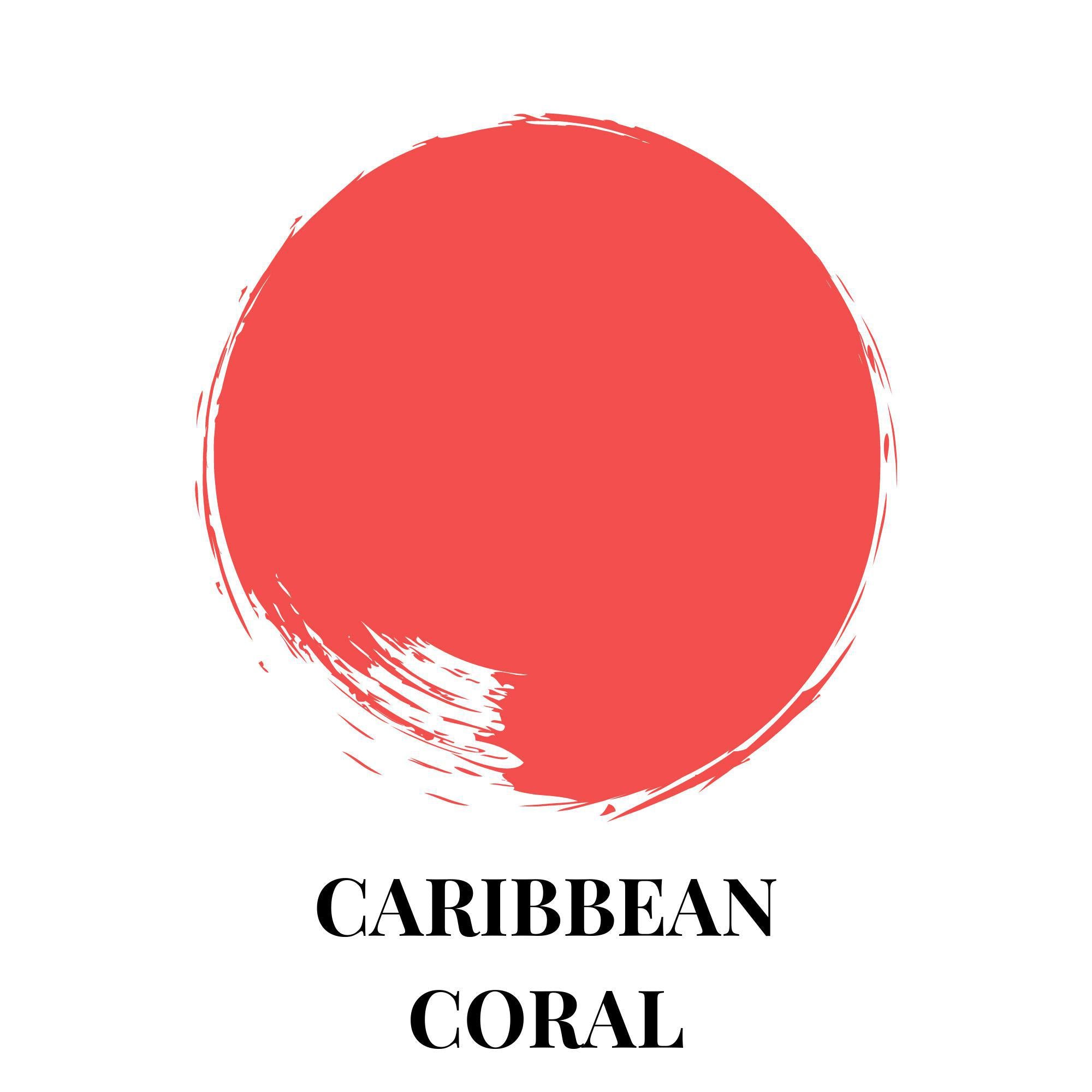 Carribbean Coral - Paint Couture!