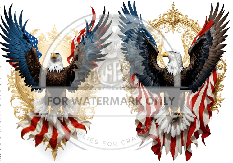 DC674 - Patriot Eagle Duo A4 Rice Paper