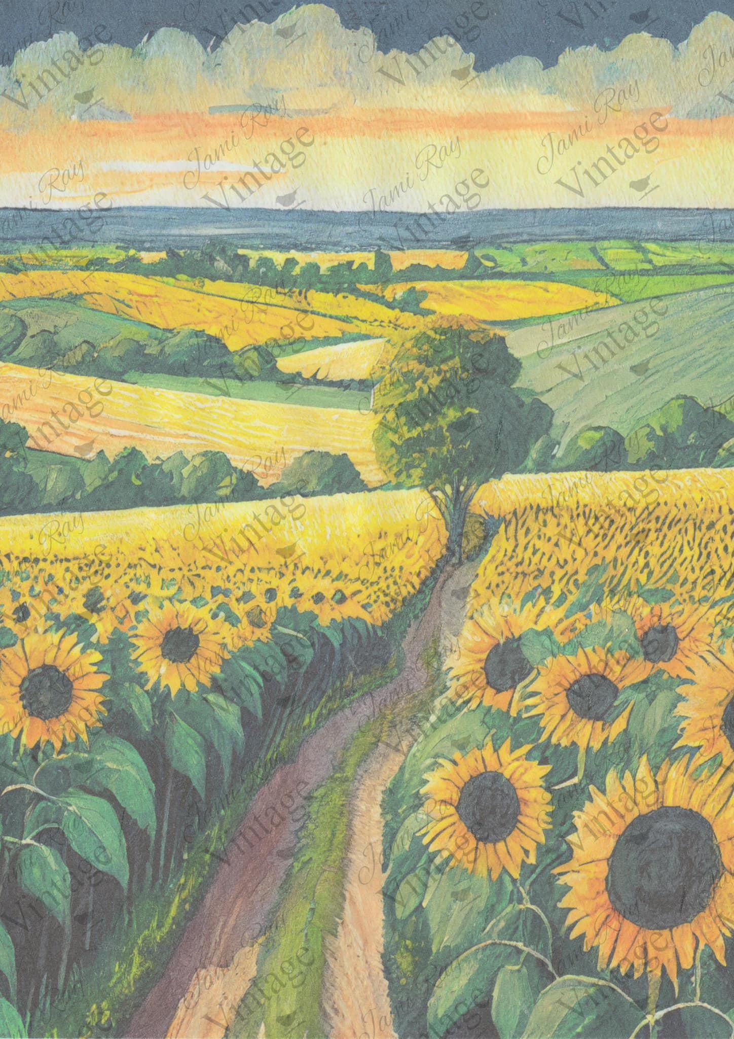 Sunflower Fields| JRV A4 Rice Paper