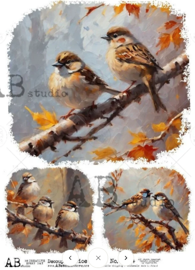 Item No. 5634 Autumn Birds Decoupage Rice Paper A4 by AB Studio