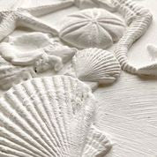 Sea Shells Decor Moulds™