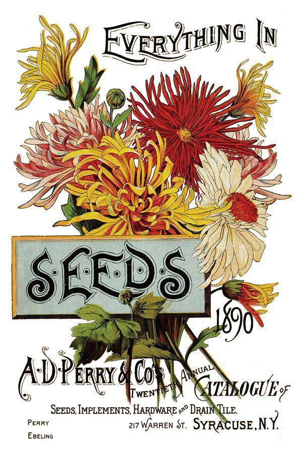 Seed Catalogue 8x12 IOD Transfer