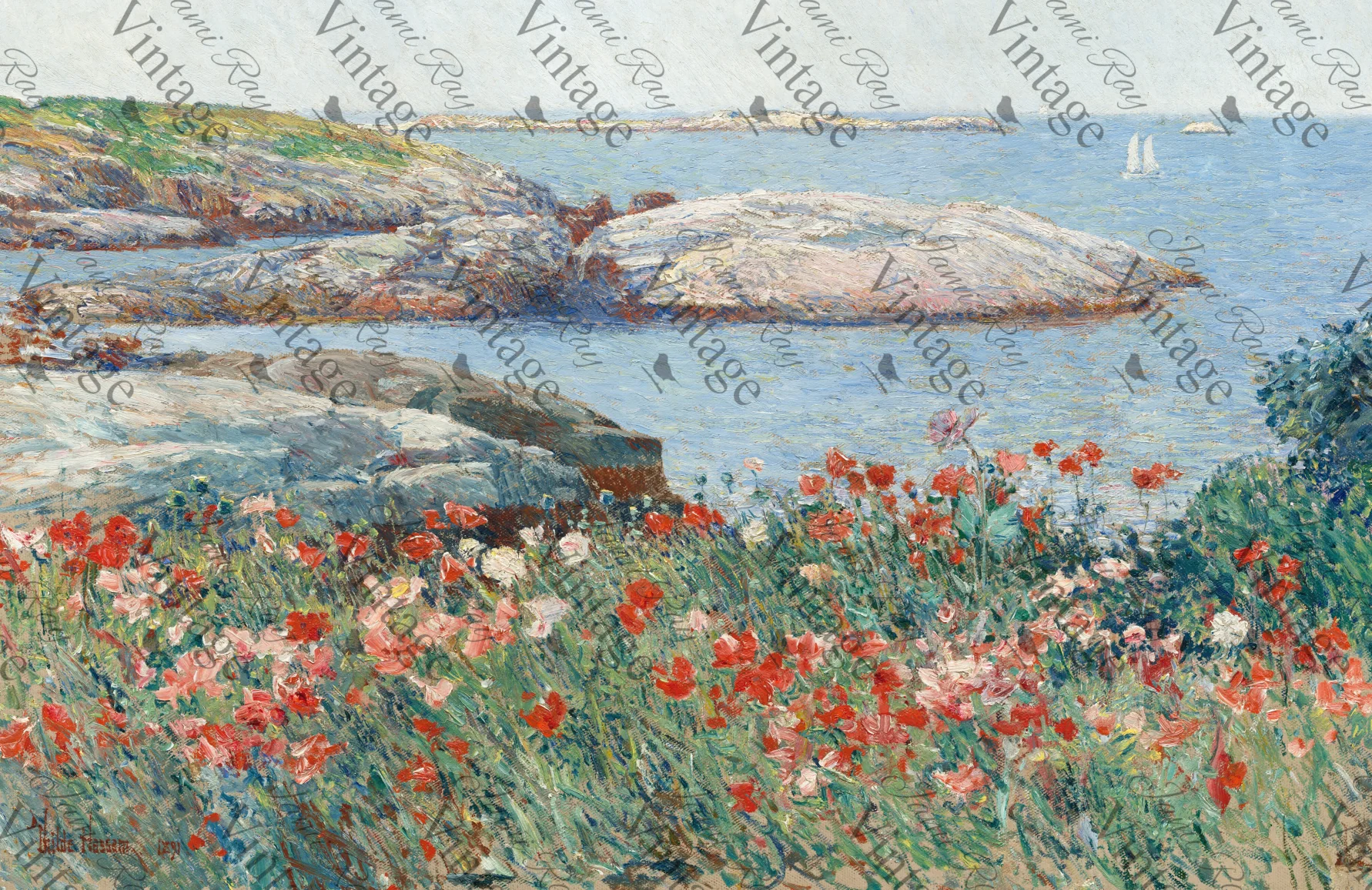 Poppies on the Beach | JRV Medium Rice Paper