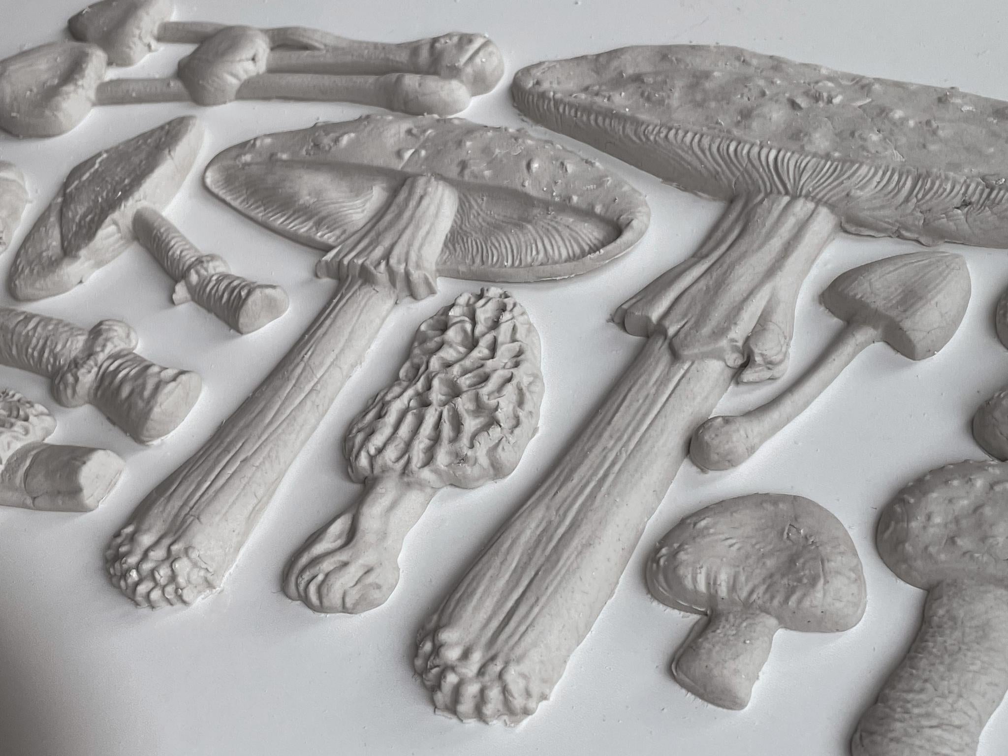 Toadstool 6×10 Decor Moulds™