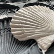 Sea Shells Decor Moulds™