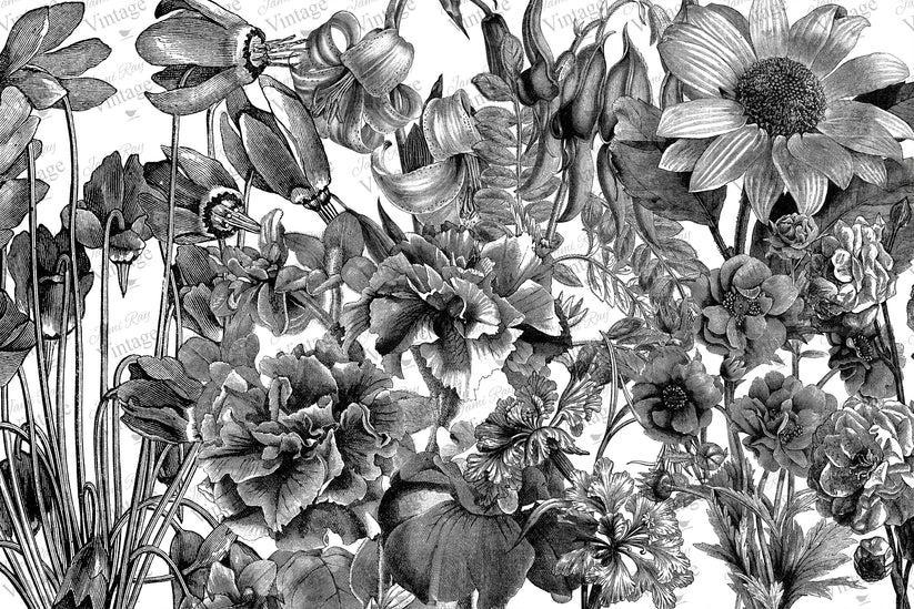 Black and White Floral JRV Decoupage Paper