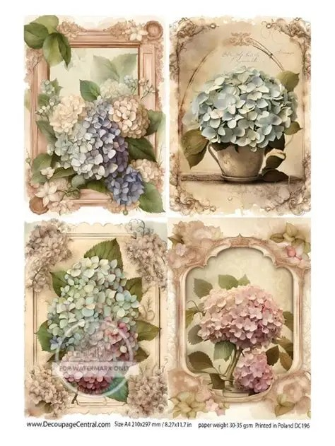 DC196 - Victorian Hydrangeas Decoupage A4 Rice Paper