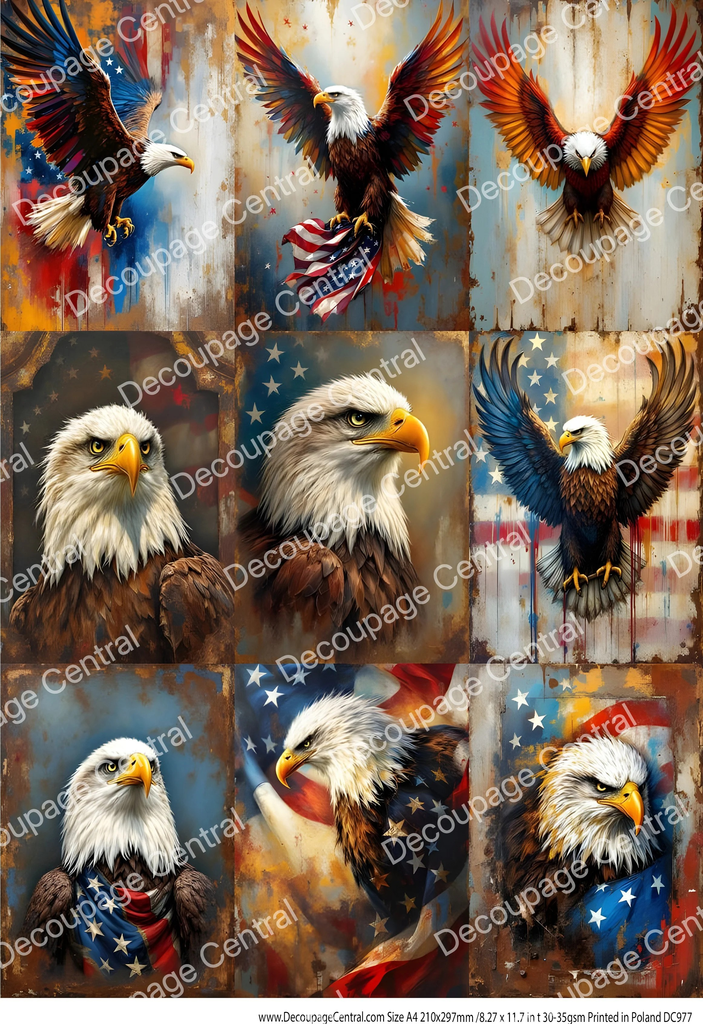 DC977 Patriotic Eagle Portrait Collection A4 Rice Paper