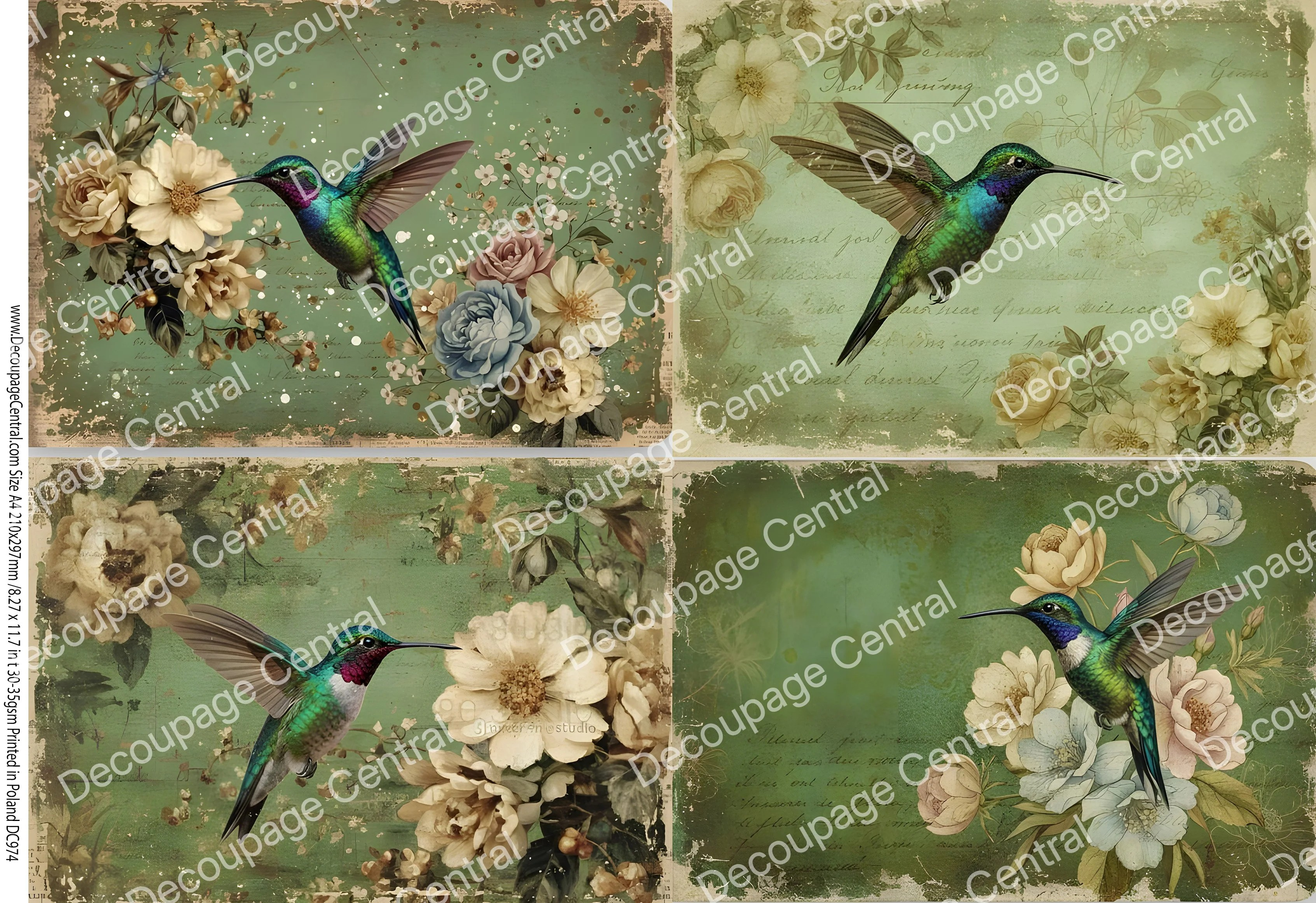DC974 Jewel Tone Hummingbird Quartet A4 Rice Paper